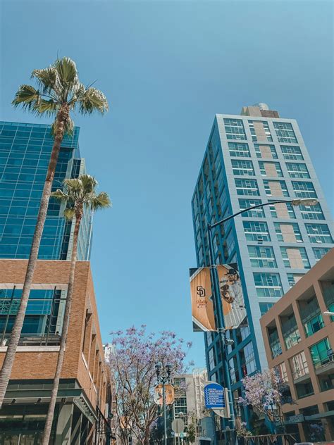 2860 University Avenue: Explore San Diegos Thriving Hub