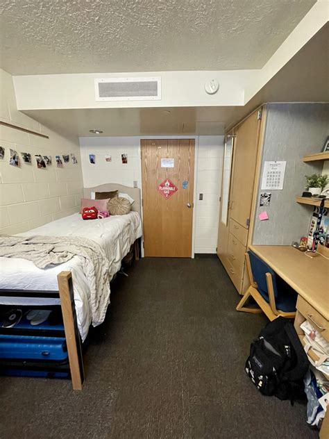 5 Best Dorms At Madonna University