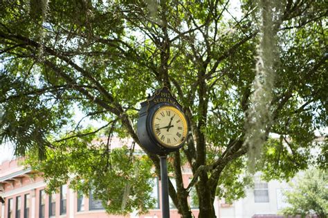 5 Colleges In Sebring, Florida Worth Considering