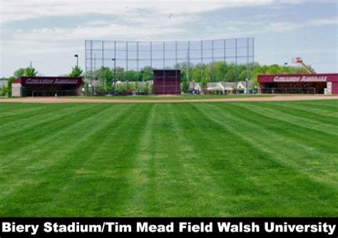 5 Facts About Walsh University Baseball Field