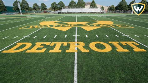 5 Facts About Wayne State University Football Field