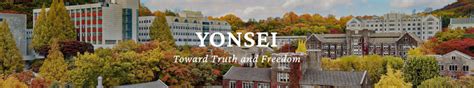 5 Things To Know About Yonsei University Reviews