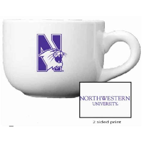 5 Unique Northwestern University Mug Designs