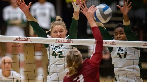 5 Ways Csu Volleyball Dominates The Court