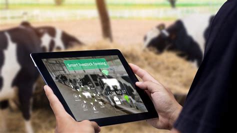 5 Ways Msu Enhances Agriculture And Livestock Education