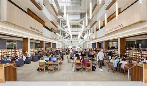 5 Ways Neumann University Library Supports Student Success