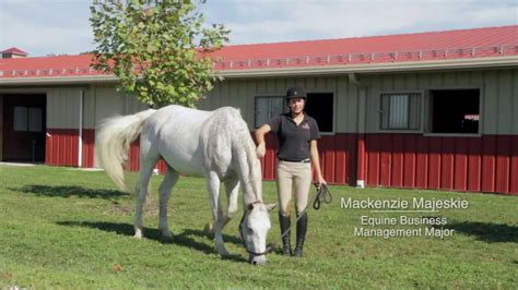 5 Ways Otterbein University Equestrian Program Stands Out