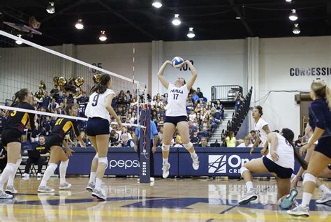 5 Ways To Elevate Your Game At Nau Volleyball Camp