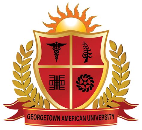 5 Ways To Experience Georgetown American University Guyana