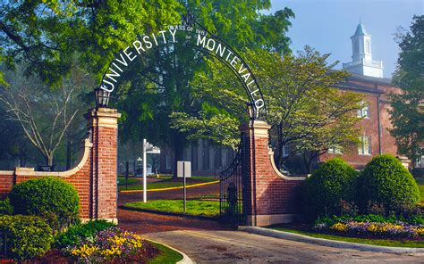 5 Ways To Get The Most From University Of Montevallo Library