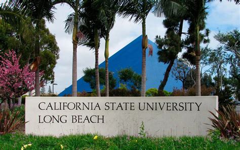 5 Ways To Rep Long Beach State University Apparel