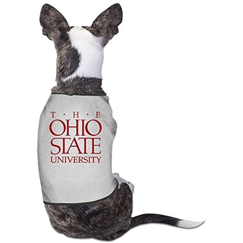 5 Ways To Rep Osu With Dog Apparel