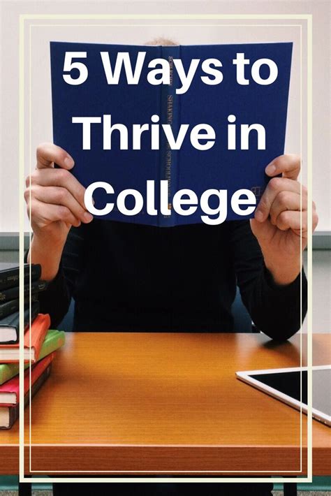 5 Ways To Thrive At Concordia University Of Law