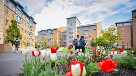 5 Ways To Thrive In St Johns University Residence Life