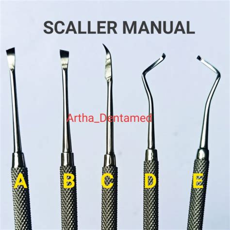 5 Ways To Use A Universal Scaler For Accuracy