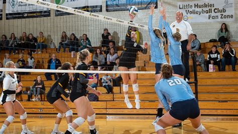 5 Ways Uiu Volleyball Dominates The Court