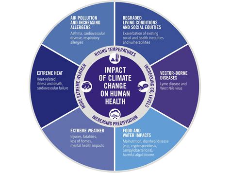 5 Ways Yates University Hospital Impacts Local Healthcare