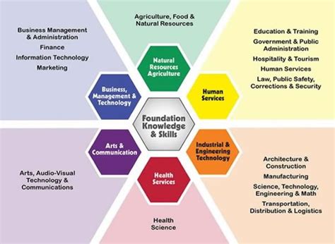 6 Career Paths For Northwood University Graduates