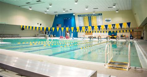 6 Ways To Dive Into Wayne State University Swimming