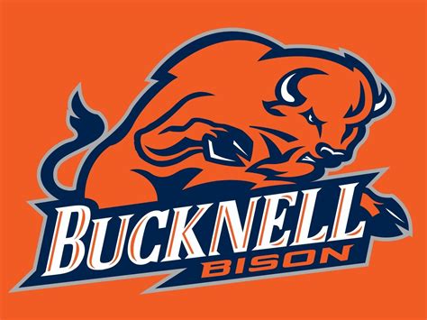 6 Ways To Rock Bucknell University Clothing