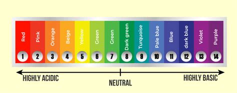 7 Colors Of Universal Indicator: A Quick Guide