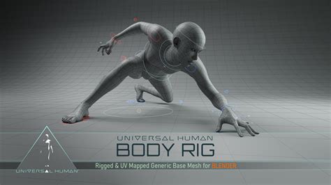 7 Free Universal Human Body Rigs To Download