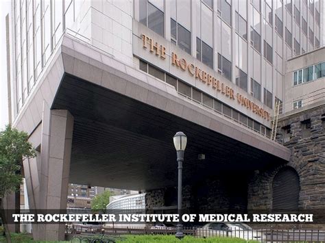 7 Rockefeller University Job Opportunities To Explore