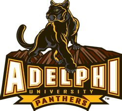 Adelphi University Panthers Baseball Team Overview