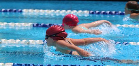 Barry University Swimming: Diving Into Excellence In Miami