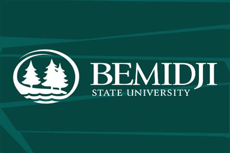 Bemidji State University D2l: A Comprehensive Student Guide