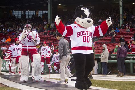 Boston University Hockey Team Sweater: Terrier Pride On Ice