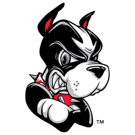 Boston University Terriers Hockey Tickets On Sale Now