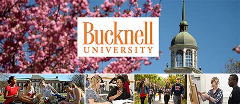 Bucknell University Career Opportunities And Job Placement Success