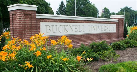 Bucknell University Endowment: A Deep Dive Into Its Finances