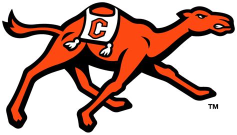 Campbell University Softball: Fighting Camels In Action