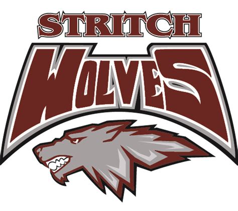 Cardnial Stritch University Wolves Basketball Team Profile