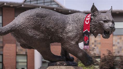 Central Washington University Hoodie For Wildcats Fans