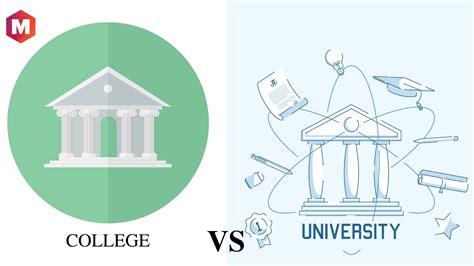 College Vs University: Whats The Key Difference