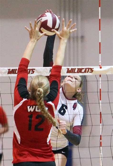 Cwu Wildcats Volleyball Team Info And Updates