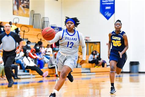 Dillard University Softball Team Overview