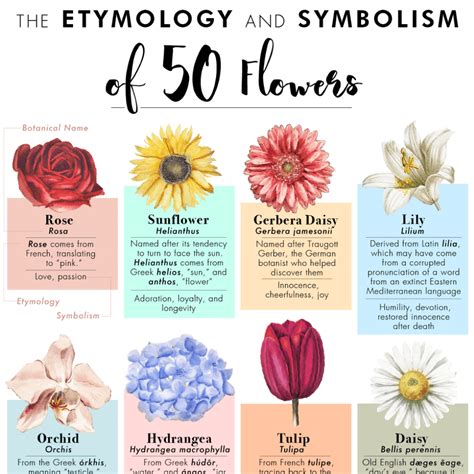 Discover The Universal Flower: Symbolism And Meaning Explained