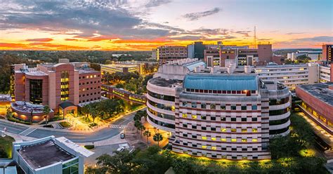 Experience Uf Campus Life: 5 Live Cam Views