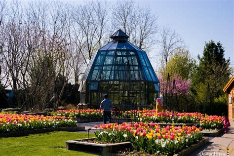 Explore 5 Wonders Of Michigan State University Arboretum