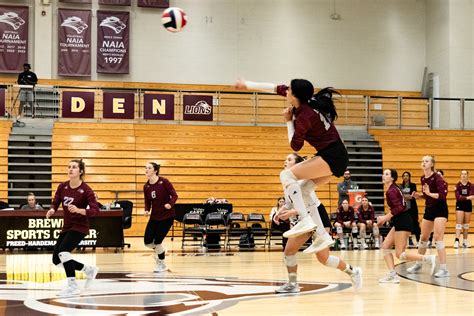 Freed Hardeman University Volleyball Team Updates And Insights