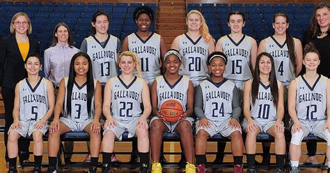 Gallaudet University Bison Volleyball Team Overview