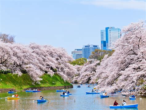 Hokkaido University Museum: Discover Japans Natural Wonders