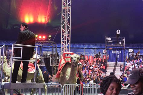 Inside Zekes Universal Soul Circus: 5 Must-Know Facts