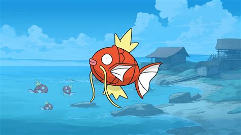 Magikarp University Guide For PokéMon Trainers