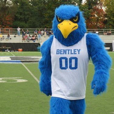 Meet Flex The Falcon: Bentley Universitys Mascot