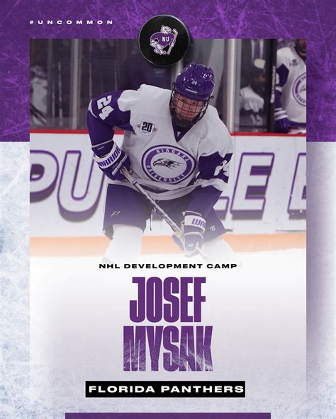 Meet Niagara University Hockeys Roster